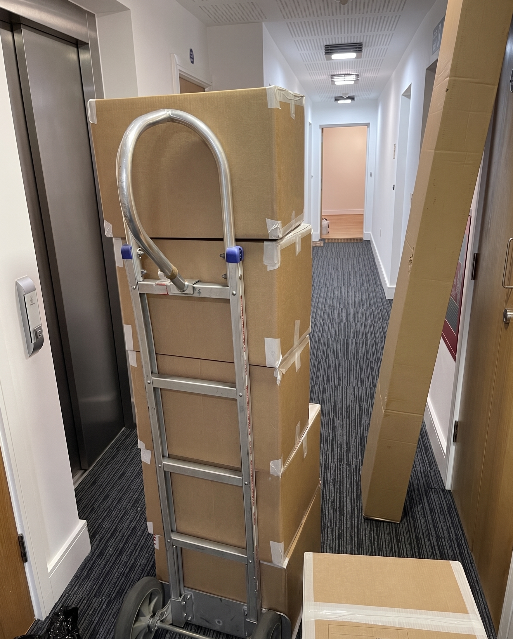Removals boxes in Loughton